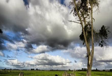 竞彩足球葡萄牙对阵法国，这场焦点战该怎么看？